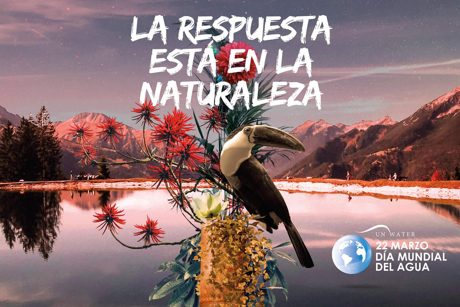 Naturaleza del agua. Día mundial del agua 2018